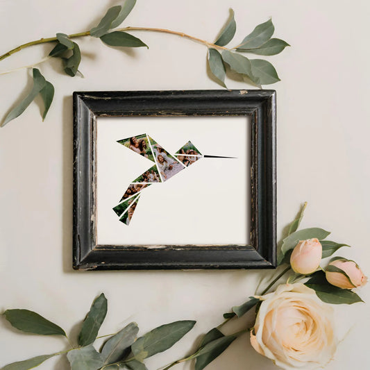 Geometric Hummingbird Photo Collage Template by Playful Pixie Studio