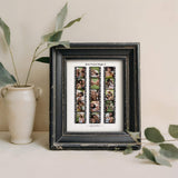 Framed film strip collage next to vase with leaves