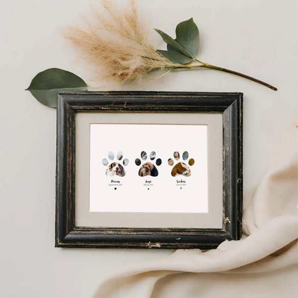 Pet Paw Collage in distressed black frame next to branch and cream coloured linen