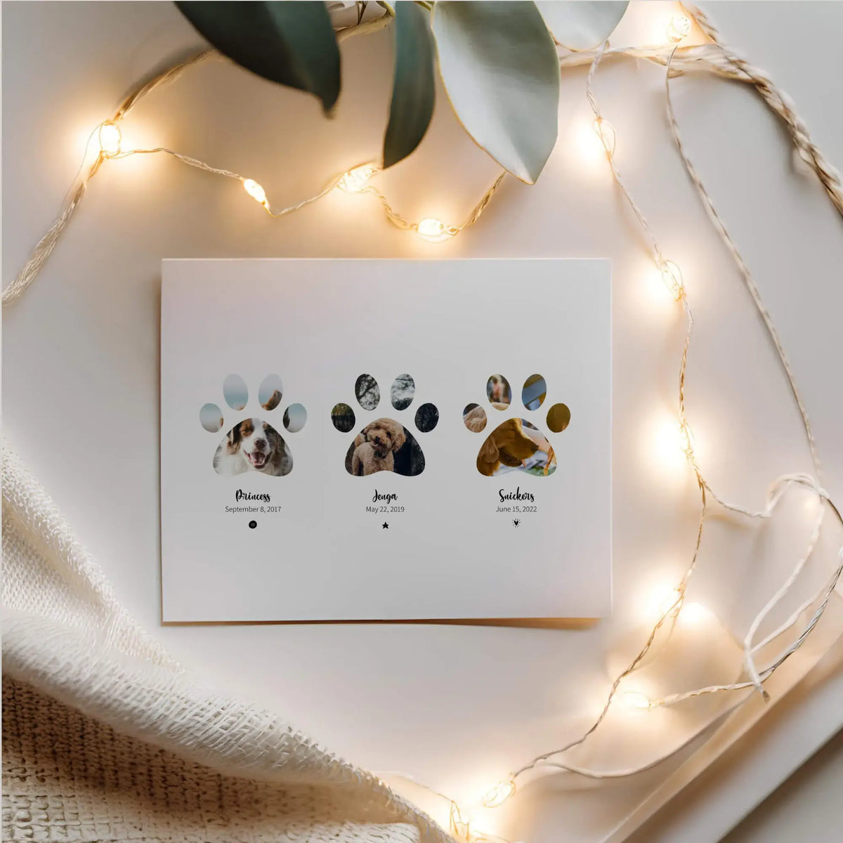 Pet Paw Collage print next to a piece of beige linen surrounded by string lights