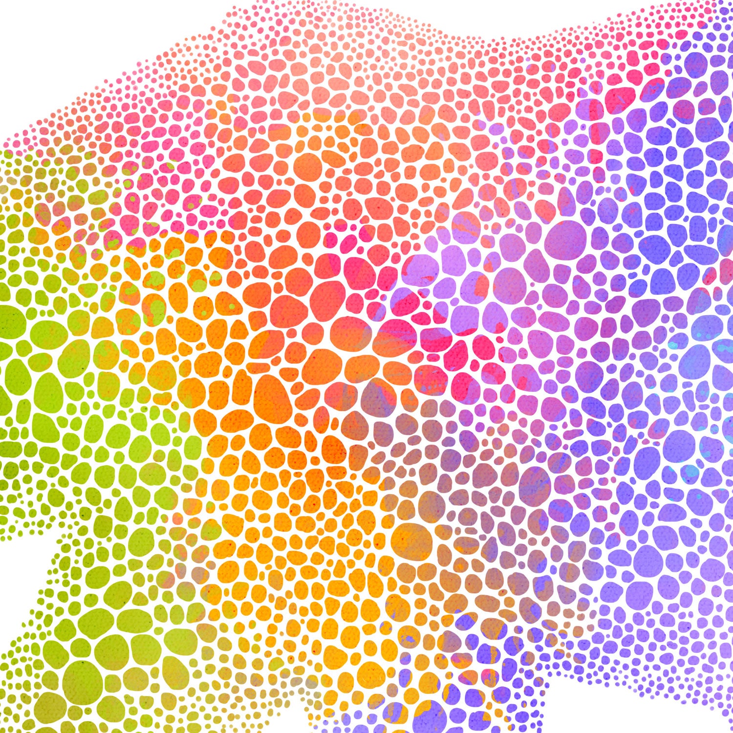 Printable Bear Rainbow Dots Up Close