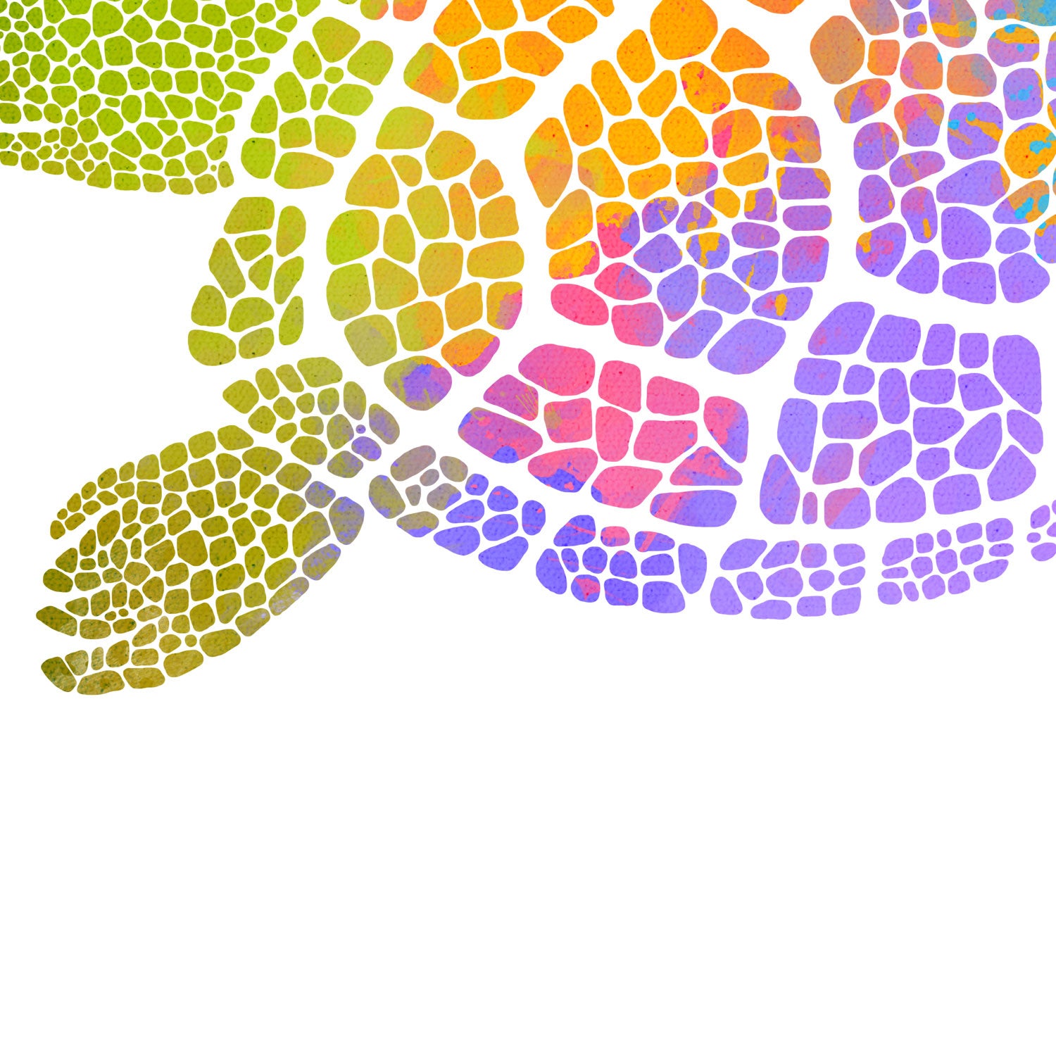 Printable Turtle Rainbow Wash Up Close